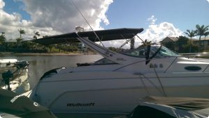 Bimini Top with Extension